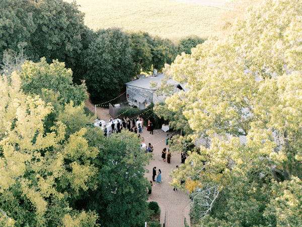 Aerial view of an outdoor event with people gathered on a brick pathway surrounded by large green trees and a small building in the background. Warm, natural light fills the scene.