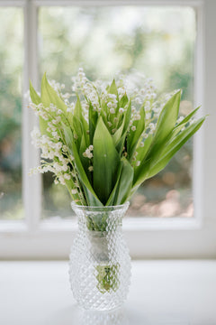 A clear glass vase holds a bouquet of lily of the valley flowers with green leaves, placed on a white surface in front of a bright window.