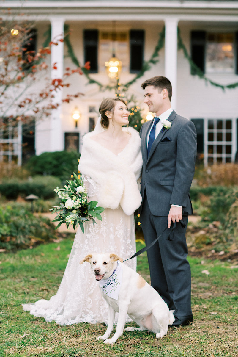 Wedding couple with a dog in a garden setting