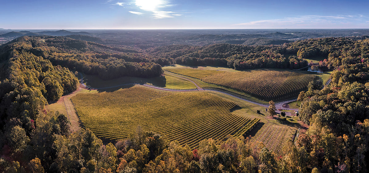 Enjoy a Dynamis Wine Dinner by FEARRINGTON VILLAGE, inspired by the lush Dynamis Estate in North Carolina’s Swan Creek—vineyards nestled among rolling hills and dense forests, with grapevines lining the landscape under bright blue skies.