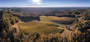 Enjoy a Dynamis Wine Dinner by FEARRINGTON VILLAGE, inspired by the lush Dynamis Estate in North Carolina’s Swan Creek—vineyards nestled among rolling hills and dense forests, with grapevines lining the landscape under bright blue skies.