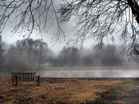 A wooden bench sits on brown grass near a calm lake, surrounded by leafless trees. Fog covers the background, creating a misty and tranquil atmosphere. Branches frame the image from above.
