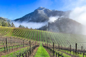 A man in a straw hat and a woman in a denim jacket smile together outdoors by a wooden bench with a stag carving—an inviting scene evoking the Peter Michael Wine Dinner by FEARRINGTON VILLAGE, surrounded by tall trees and greenery.