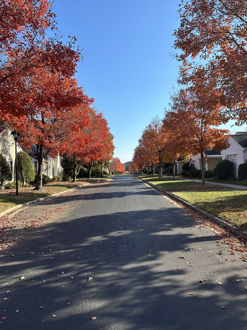 A quiet suburban street lined with houses and trees covered in vibrant red and orange autumn leaves under a clear blue sky. Fallen leaves are scattered on the road and grassy areas.