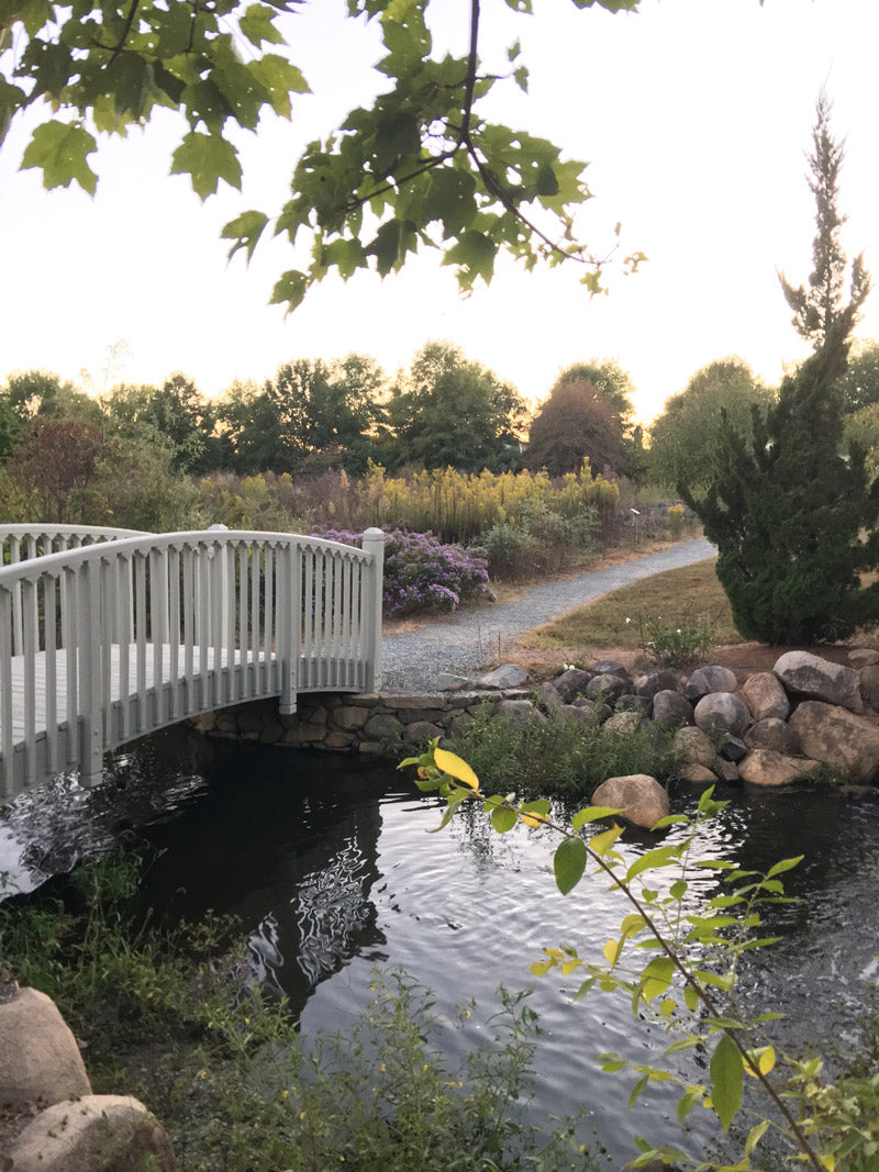 A small white bridge crosses over a pond surrounded by rocks and greenery, with a gravel path and colorful wildflowers in the background under a partly cloudy sky. Tree branches with green leaves frame the top of the image.