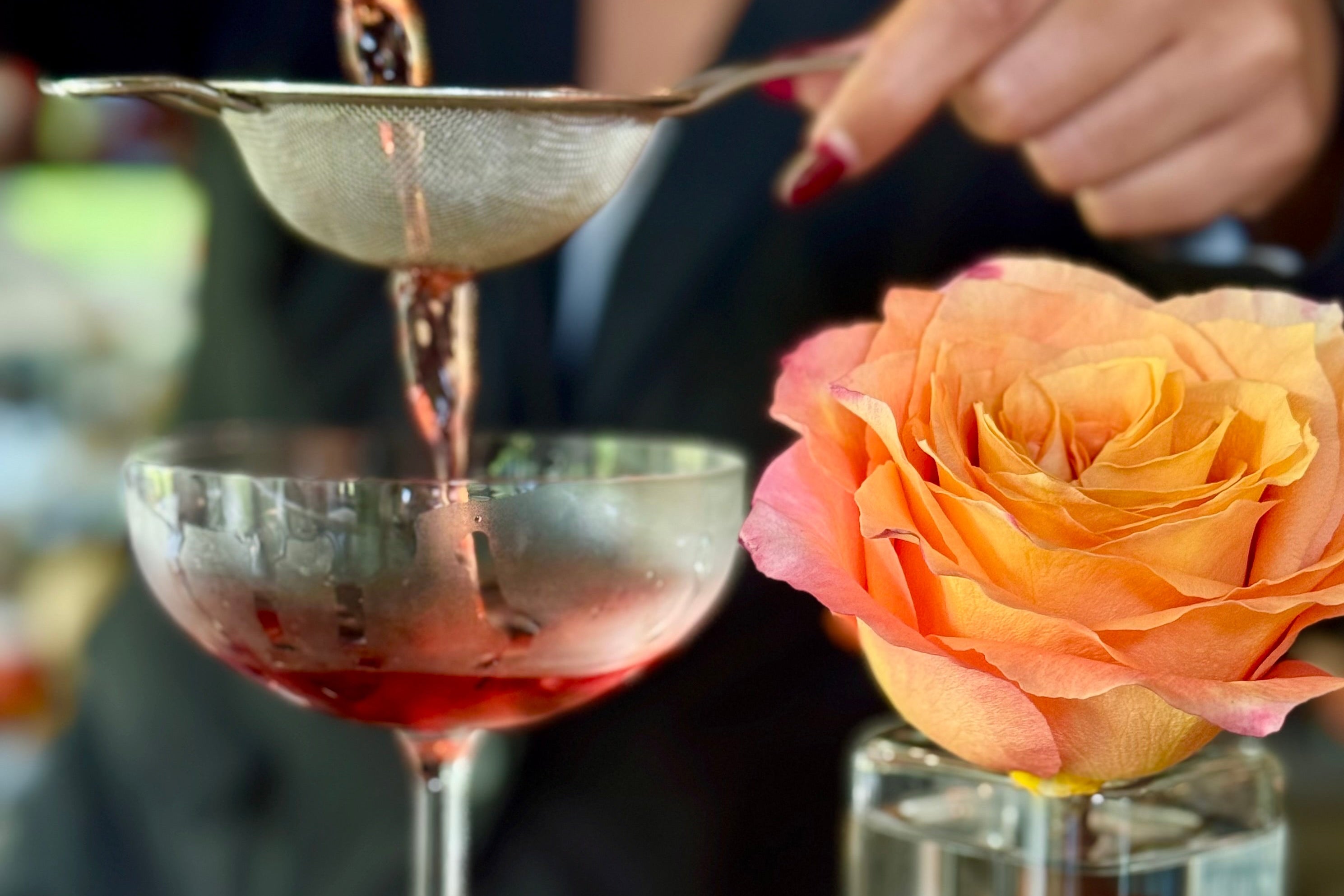 A person strains a red cocktail into a coupe glass beside an orange rose in a glass vase on a bar counter.