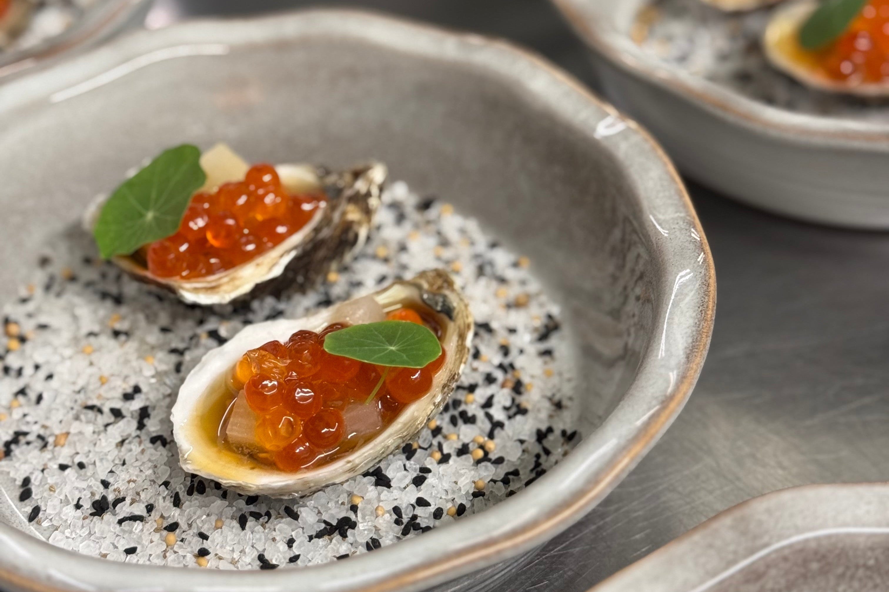 text-block-image-template--17293753778270__ss_text_block_pro_JEnLth