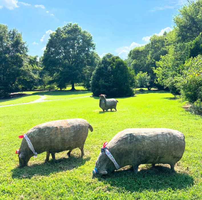 Three pig statues with ribbons around their necks stand on a bright green grassy lawn in a park, surrounded by trees under a blue sky with scattered clouds.