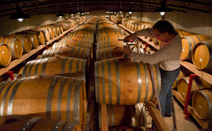 An older man with gray hair and glasses, in a red shirt and gray vest, smiles as he holds a small plant before shelves of greenery, capturing the inviting charm of a FEARRINGTON VILLAGE St. Innocent Wine Dinner.