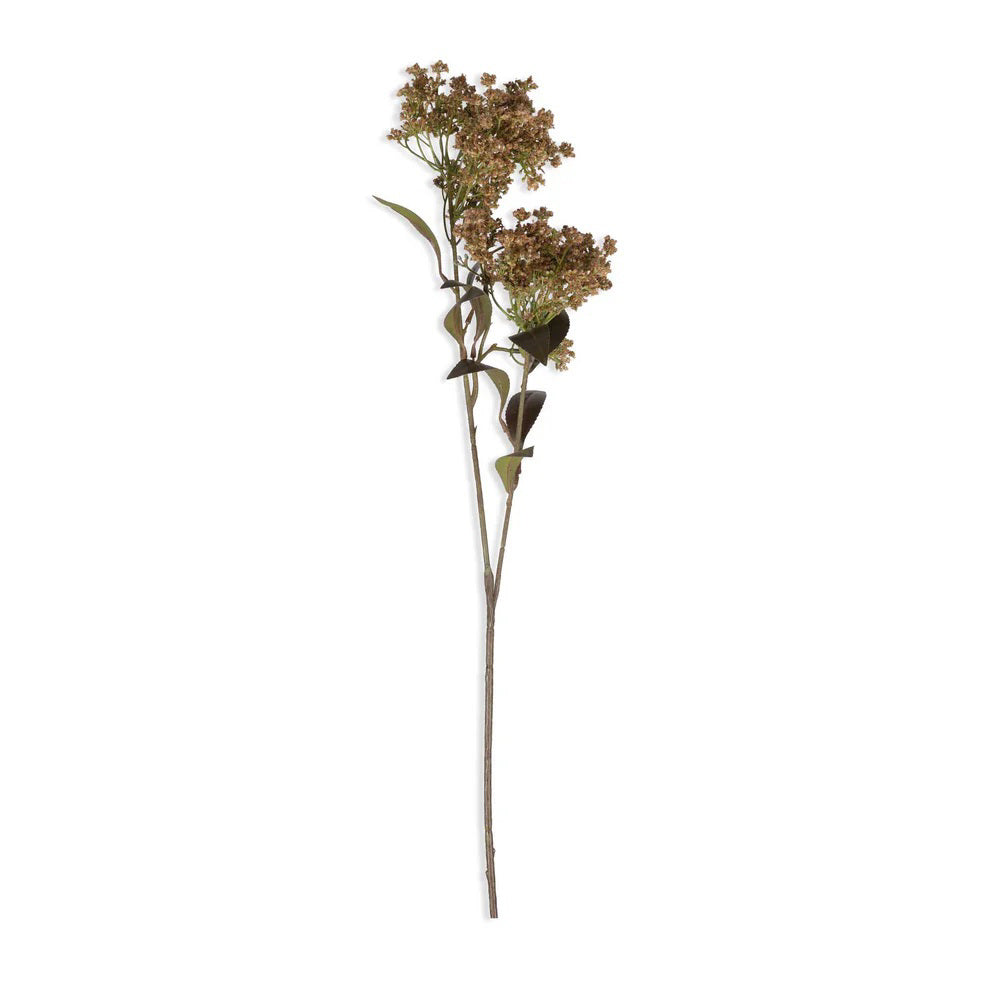 The ABIGAIL AHERN - BUTTERFLY BUSH features cream blooms and dark green leaves arranged on a rustic wooden surface beside a speckled ceramic vase, creating a textured, natural look with beautiful interplay of light and shadow.