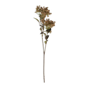 The ABIGAIL AHERN - BUTTERFLY BUSH features cream blooms and dark green leaves arranged on a rustic wooden surface beside a speckled ceramic vase, creating a textured, natural look with beautiful interplay of light and shadow.