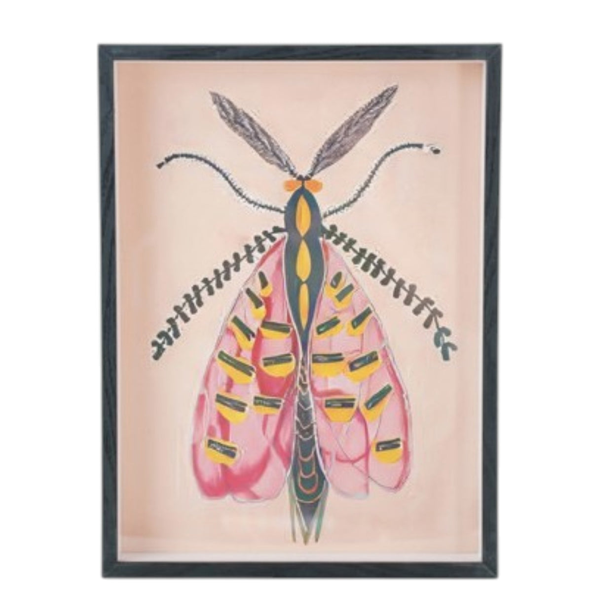 The CREATIVE COOP FRAMED ACRYLIC WALL ART, MOTHS features a vibrant moth with red and yellow wings, a yellow segmented body, and feathery antennae on a light background—ideal for botanical-themed décor.