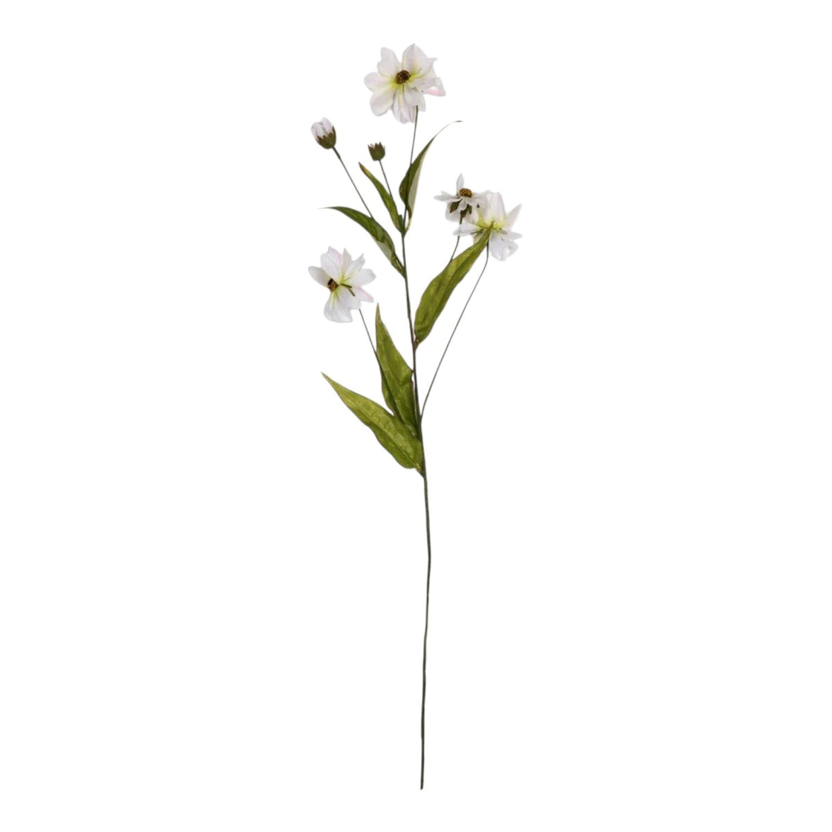 ABIGAIL AHERN - WILD COSMOS features white daisy-like faux flowers with green leaves, artfully displayed against a rustic brown and beige textured background for a natural, meadow-inspired accent.