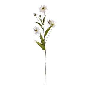 ABIGAIL AHERN - WILD COSMOS features white daisy-like faux flowers with green leaves, artfully displayed against a rustic brown and beige textured background for a natural, meadow-inspired accent.