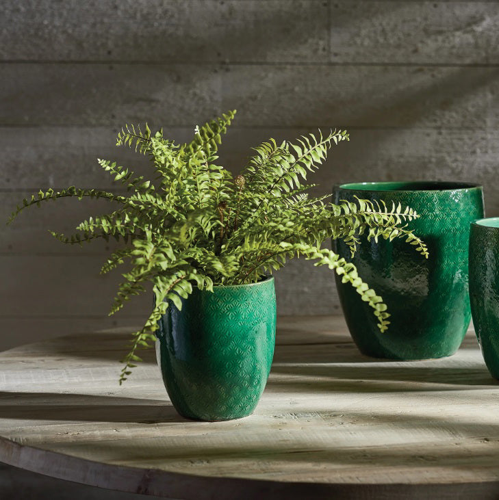 The NAPA HOME AND GARDEN - BOSTON FERN DROP IN 16 features lifelike, arching green fronds in a moss-covered pot, perfectly mimicking a real Boston Fern. Displayed against a plain white background.