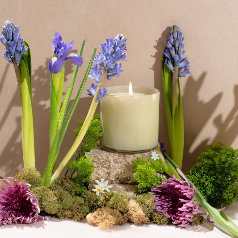 A light green soy wax candle in a hand-blown glass container is placed next to its packaging box. The box, with a watercolor design featuring shades of green and white, displays the text &quot;LAFCO New York, Greenhouse, Wild Honeysuckle.