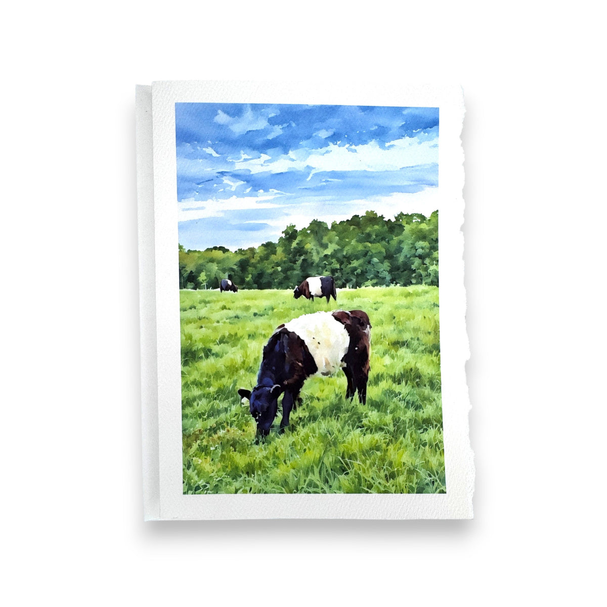 The FEARRINGTON SIGNATURE COLLECTION - WATERCOLOR GREETING CARD &quot;GRAZING&quot; by PICTURE SALON features a black and white cow in a green field with more cows, trees, and blue sky, printed on torn-edged paper.