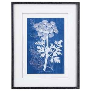 NAPA HOME AND GARDEN's Cyanotype Queen Anne Lace Prints: set of four framed botanical prints featuring white plant illustrations on blue backgrounds, arranged in a 2x2 grid with white mats and black frames.