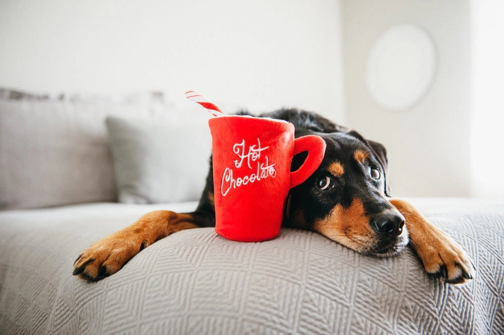 The HOLIDAY CLASSIC - HOT CHOCOLATE dog toy by PLAY PET LIFESTYLES/BRANDS features a festive red plush mug with “Hot Chocolate” embroidered on the front, topped with soft marshmallows and a striped red and white straw—making it the perfect holiday gift for playful pups.