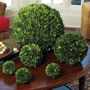 The NAPA HOME AND GARDEN - BOXWOOD BALL 6 features dense, real English boxwood leaves in a perfect round shape, ideal for indoor decor, shown against a plain white background.