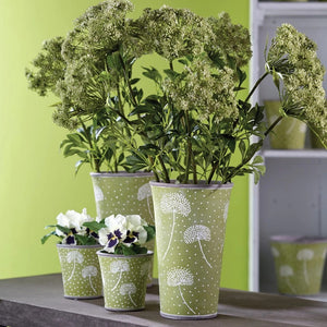 The NAPA HOME AND GARDEN - BLOSSOM BUD STEM 24, with its light green buds on thin branches, elegantly complements your home decor against a white background, seamlessly fitting any interior design scheme.