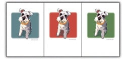 PAPER RUSSELLS - SCHNAUZER BOX NOTES by PAPER RUSSELLS feature a small white and gray dog with a yellow collar on a teal background, framed in black—ideal for eco-friendly stationery or recycled paper cards.
