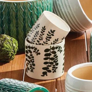 Two NAPA HOME AND GARDEN Maren Pots in white ceramic with an embossed leaf pattern sit on a wooden table, one with a leafy plant. Nearby are two stacked books and a partially visible empty green cachepot.