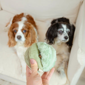 The LAMBWOLF COLLECTIVE - TOTO SILENT SNUFFLE BALL DOG TOY is a soft, light green plush ball crafted from various textured fabric segments stitched together in a flower-like or abstract shape.