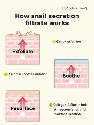 Infographic featuring KOSMIC KBEAUTY SKINCARE’s COSRX - ADVANCED SNAIL PEPTIDE EYE CREAM (25ML): highlights include 73.6% snail secretion filtrate for intense hydration, a 5-peptide complex to boost skin elasticity, betaine & sodium hyaluronate for moisture retention, and allantoin & panthenol for gentle eye area care—each benefit visually paired with an image of a white cream blob.