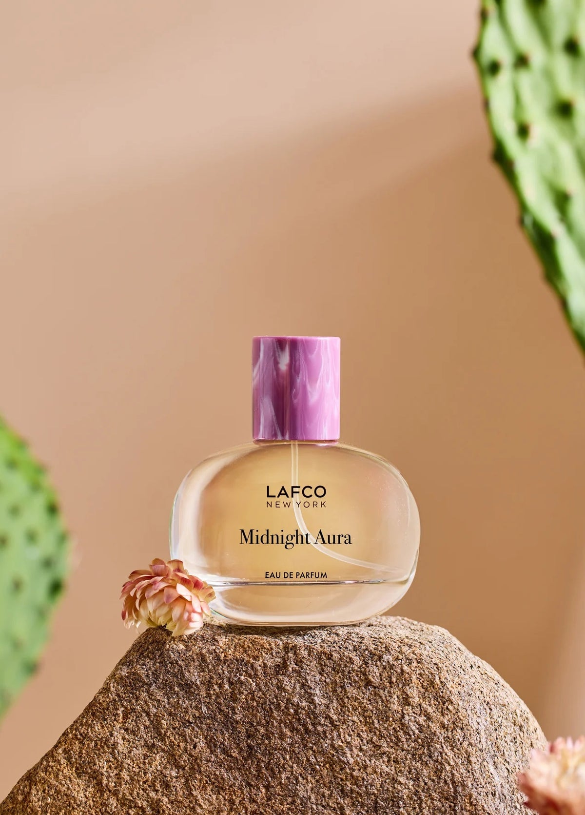 A LAFCO Fine Fragrance, Midnight Aura 50ml box rests on a rock, framed by flowers and green cactus pads in the background, capturing the essence of this alluring fruity perfume crafted with essential oils.