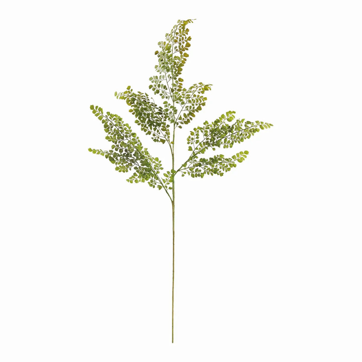 The NAPA HOME AND GARDEN - Maidenhair Faux Fern Stem features a single green fern with delicate, lacy leaves on a central stem against a white backdrop, perfect for adding elegance and nature to any space. Ideal for product descriptions visualizing size and elegance effortlessly.