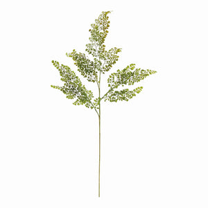 The NAPA HOME AND GARDEN - Maidenhair Faux Fern Stem features a single green fern with delicate, lacy leaves on a central stem against a white backdrop, perfect for adding elegance and nature to any space. Ideal for product descriptions visualizing size and elegance effortlessly.