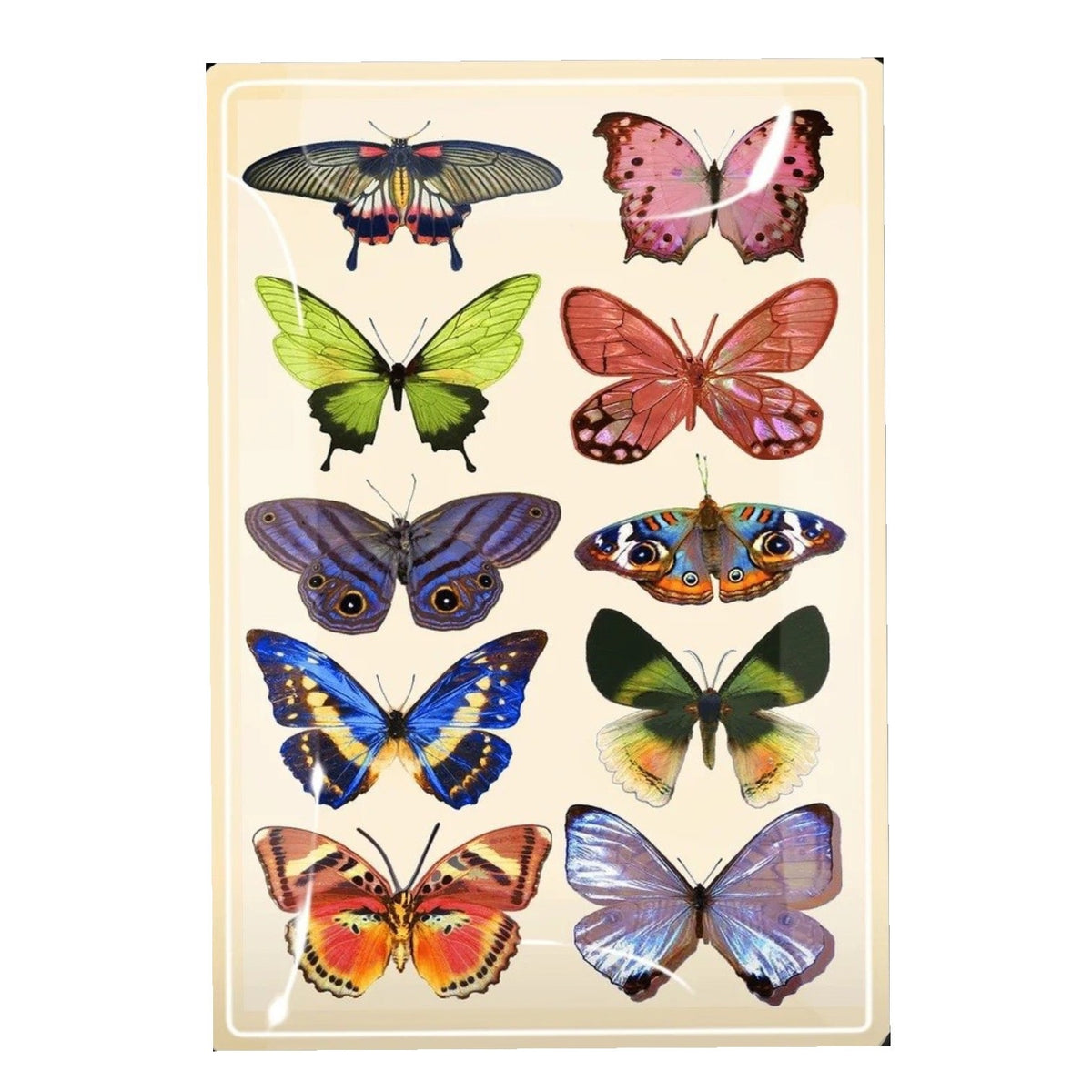 A vibrant sheet featuring nine illustrated butterflies is set against a blurred background of pink and white flowers beneath a blue sky—an inspiring motif that adds charm to the BEN’S GARDEN - WILDFLOWER BUTTERFLIES DECOUPAGE GLASS TRAY by BENS GARDEN.