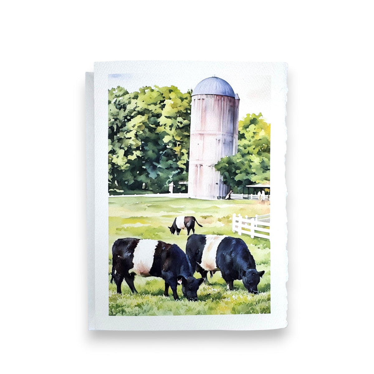 Three black and white cows graze in a field near a silo and trees, reflecting the peaceful charm of Fearrington Village on the FEARRINGTON SIGNATURE COLLECTION “OUT TO PASTURE” watercolor greeting card by PICTURE SALON.
