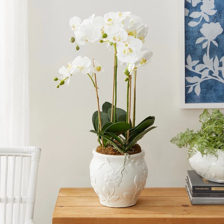 The NAPA HOME AND GARDEN - BLOSSOM CACHEPOT is a white ceramic vase ideal for home decor. It boasts a stunning floral design with embossed leaves and flowers, featuring a rounded shape and slightly flared top edge, reminiscent of a graceful blossom.