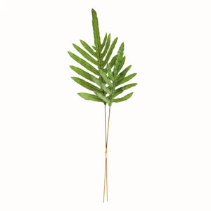 The NAPA HOME AND GARDEN - HARE'S FOOT STEM 34" features slender green ferns tied with twine against a plain backdrop, showcasing elongated leaflets in a symmetrical design.