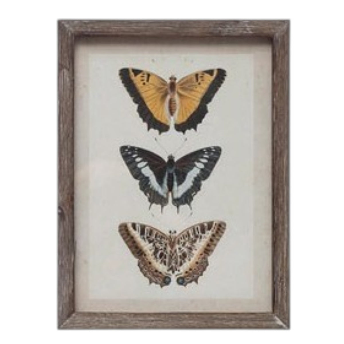 The CREATIVE COOP Wood-Framed Wall Art with Botanicals or Butterflies, Small, showcases a vintage botanical illustration of a yellow-orange flower and green leaves—timeless wall art displayed against a white background.