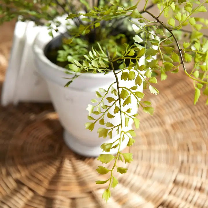 The NAPA HOME AND GARDEN - MAIDENHAIR FERN DROP IN, 30” features delicate green leaves and thin stems arranged in a white ceramic pot with moss, creating a realistic accent for any space.