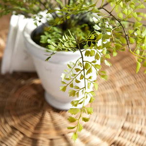 The NAPA HOME AND GARDEN - MAIDENHAIR FERN DROP IN, 30” features delicate green leaves and thin stems arranged in a white ceramic pot with moss, creating a realistic accent for any space.
