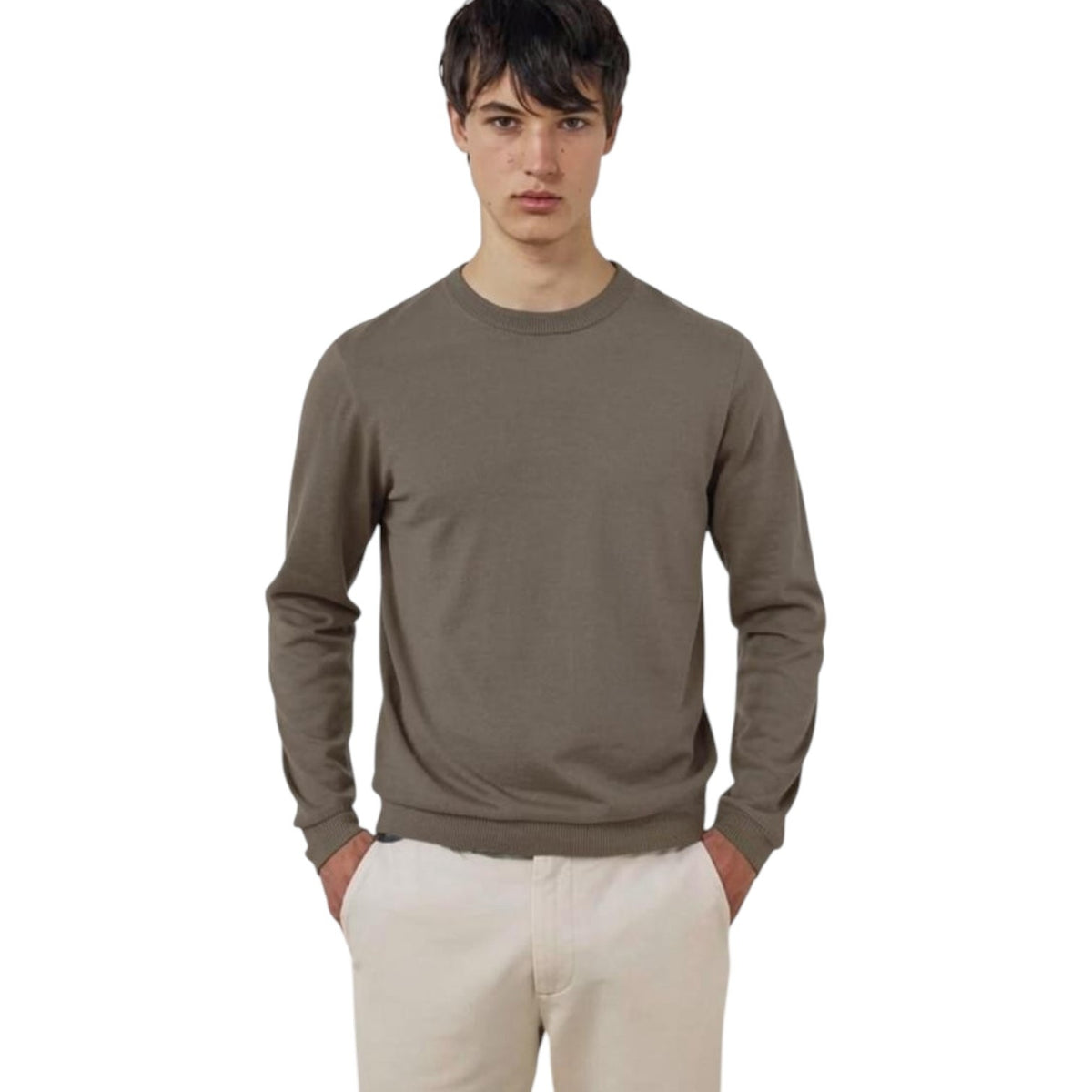 A young person with short dark hair is wearing the HARTFORD - EXTRA-FINE MERINO WOOL CREW PULLOVER IN MUSHROOM, standing against a light background and looking at the camera with a neutral expression, one arm crossed.