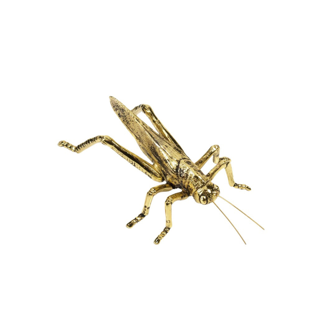 An elegant display features the GOLD GRASSHOPPER by ZODAX along with two other golden insect figurines—a beetle and a dragonfly—artfully positioned on a sleek black marble surface. In the background, two square pots filled with lush, leafy plants add a touch of greenery, while a stack of books is partially visible on the right. Product size and dimensions available upon request.