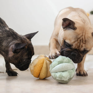 The LAMBWOLF COLLECTIVE - TOTO SILENT SNUFFLE BALL DOG TOY is a soft, light green plush ball crafted from various textured fabric segments stitched together in a flower-like or abstract shape.