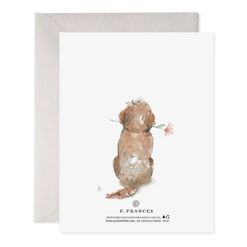 The E. FRANCES PAPER DOG MOM MOTHERS DAY CARD showcases a fluffy dog with a pink flower, beneath "Happy Mother's Day!" in stylish pink on luxurious paper. It includes a light gray envelope.
