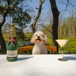 A brown and white spotted dog stands on a light background, holding the CHEWFFON PLUSH CHAMPAGNE BOTTLE SQUEAKY DOG TOY in its mouth.