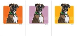 The PAPER RUSSELLS - BOXER NOTE CARDS by PAPER RUSSELLS feature a brown and white boxer dog with a green collar on an orange background, framed in black with a white mat and printed on eco-friendly recycled paper.