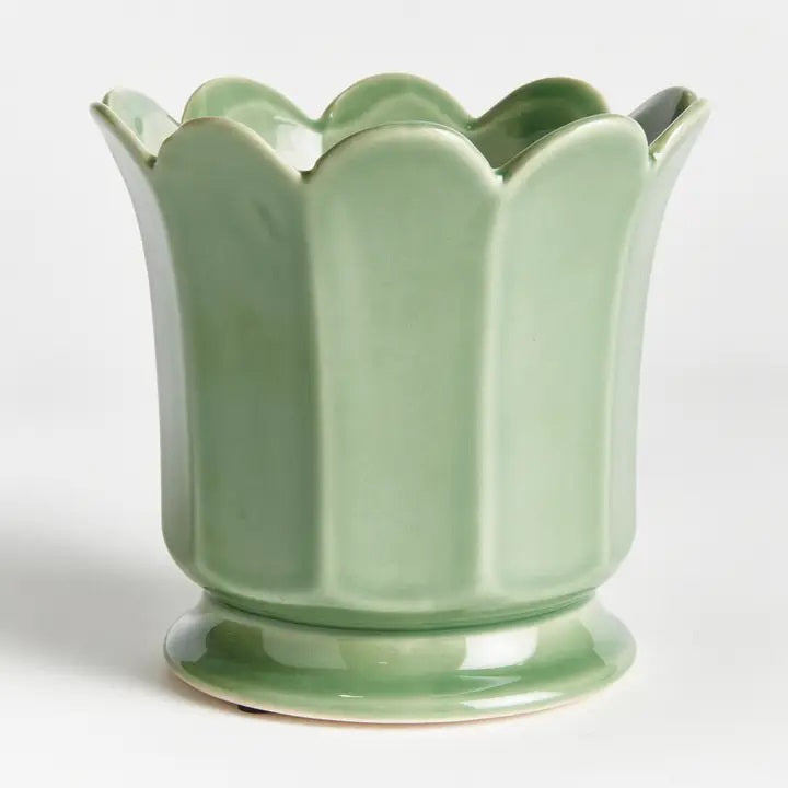 The NAPA HOME AND GARDEN - Maline Footed Pot in Green (Small) is a light green ceramic pot featuring scalloped edges and vertical panels, perched on a small round base, set against a plain white background.
