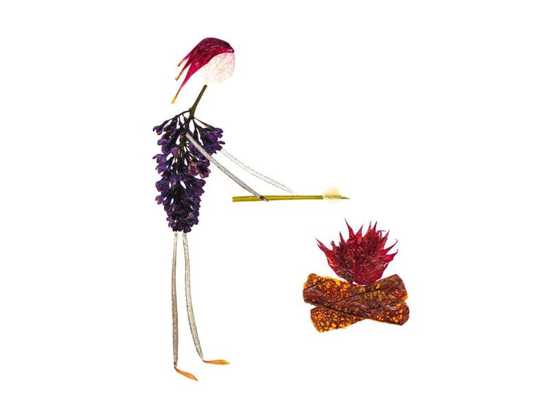 The PETAL PEOPLE PRESS - CAMP FIRE CARD by PETAL PEOPLE PRESS is a charming greeting card showcasing a stick figure made from dried flowers and leaves, roasting marshmallows. The design features purple flowers as the body and red petals with brown leaves for the campfire on a white background.