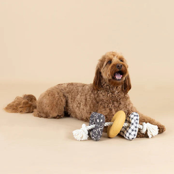 Introducing the PET SHOP BY FRINGE STUDIO - ROPED IN CANVAS DOG TOY: This interactive toy features a sturdy white rope threaded through three engaging shapes—a black-and-white checkered triangle, a yellow donut-shaped ring, and a square adorned with black and white floral designs. Made from durable cotton canvas for lasting play, the securely knotted rope ends ensure added safety.