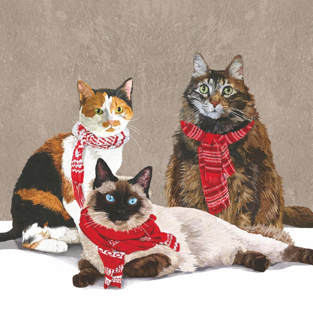 Three cats wearing red patterned scarves pose together like a stylish trio, just like the PAPER PRODUCT DESIGN - SCARF CATS BEVERAGE NAPKINS from PAPER PRODUCTS DESIGN ready to adorn your table. The calico, tabby, and Siamese cats all face the viewer.