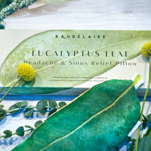 A eucalyptus leaf lies on a white backdrop above the "BAUDELAIRE - EUCALYPTUS HEADACHE/SINUS RELIEF PILLOW" box. The box, adorned with a leaf image, assures sinus relief through its calming eucalyptus and peppermint fragrance.